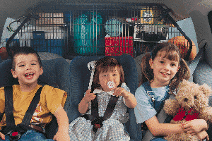 Protect yourself and your loved ones